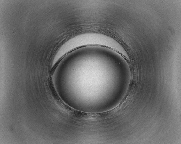 X0000113000128200908271355
