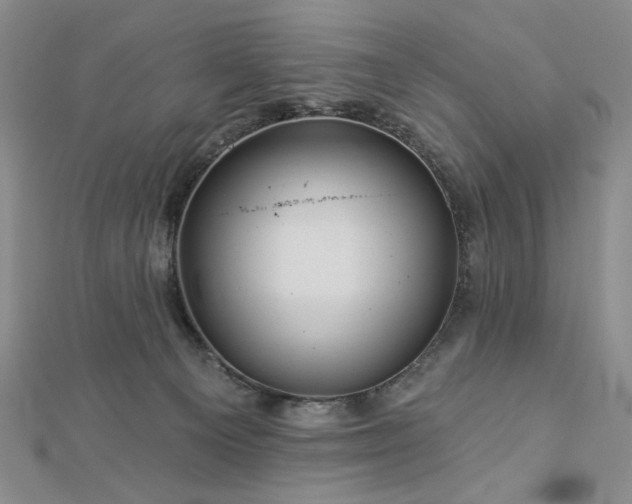 X0000113000129200908271355