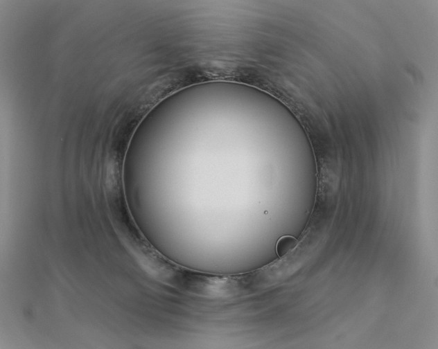 X0000113000130200908271355