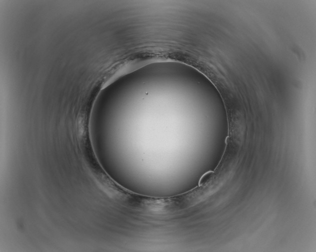 X0000113000131200908271355
