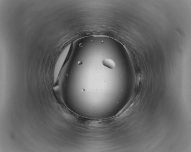 X0000113000132200908271355