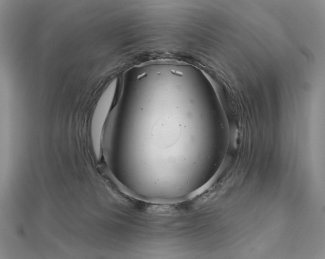 X0000113000133200908271355