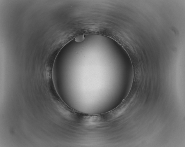 X0000113000135200908271355