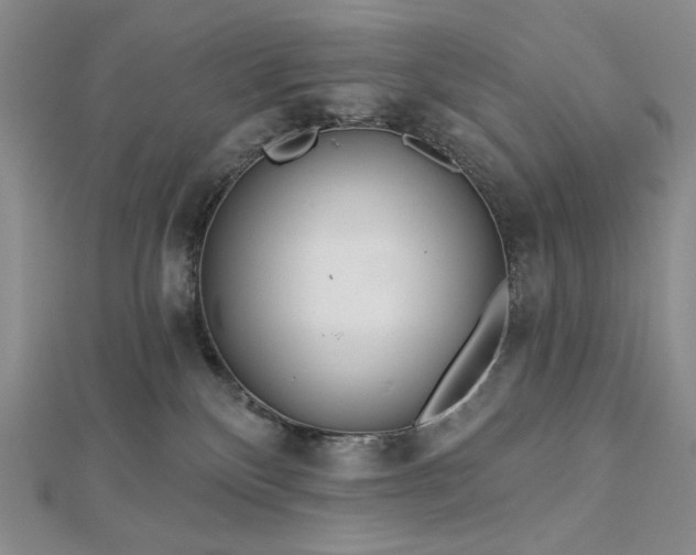 X0000113000136200908271355