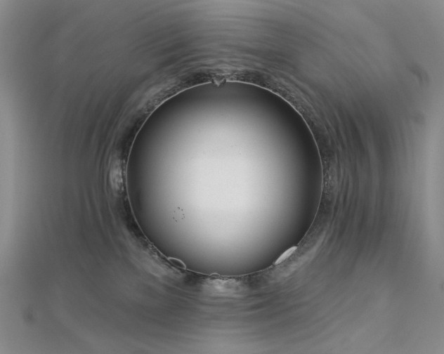 X0000113000137200908271355