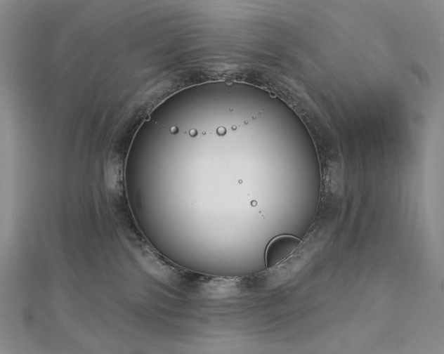 X0000113000138200908271355
