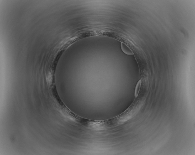 X0000113000139200908271355