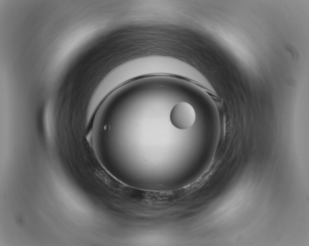 X0000113000140200908271355
