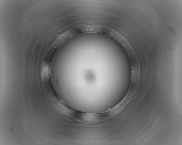 X0000113000142200908271355