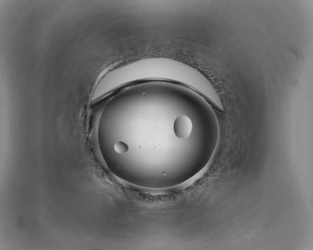 X0000113000144200908271355