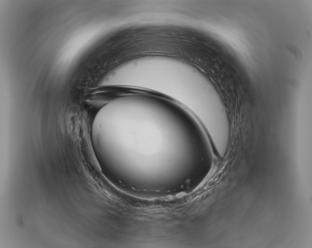 X0000113000146200908271354