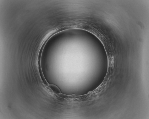 X0000113000147200908271354
