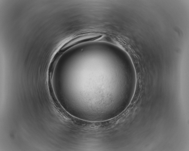 X0000113000148200908271354