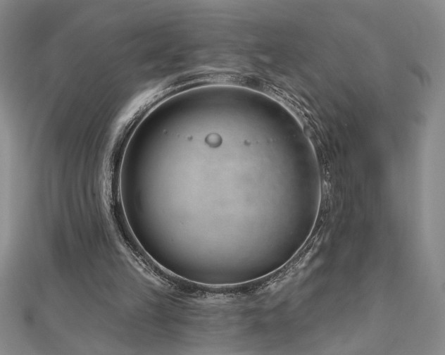 X0000113000149200908271354