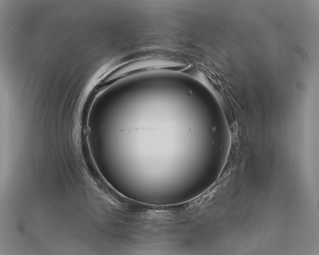 X0000113000150200908271354