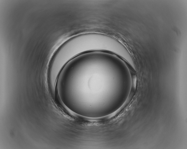 X0000113000152200908271354