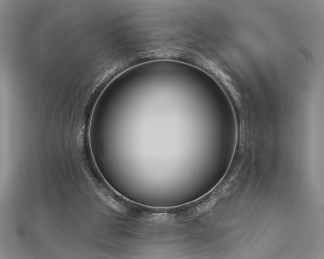 X0000113000153200908271354