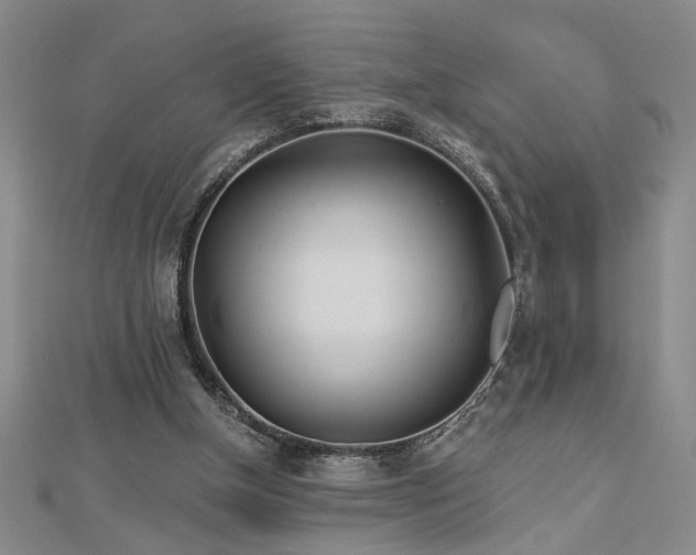 X0000113000154200908271354