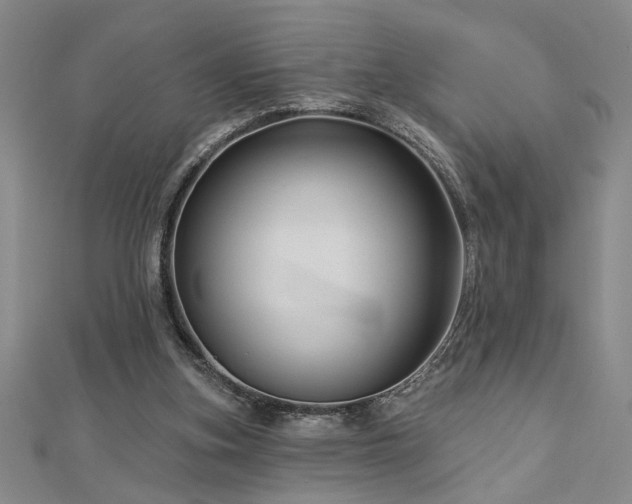 X0000113000155200908271354