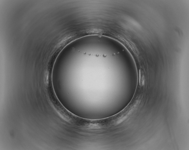 X0000113000157200908271354