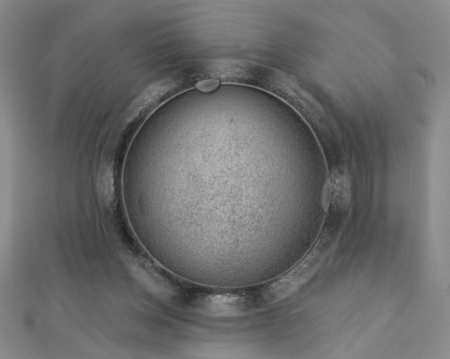 X0000113000158200908271355