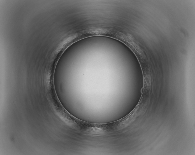 X0000113000159200908271355