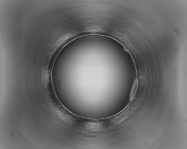 X0000113000160200908271355