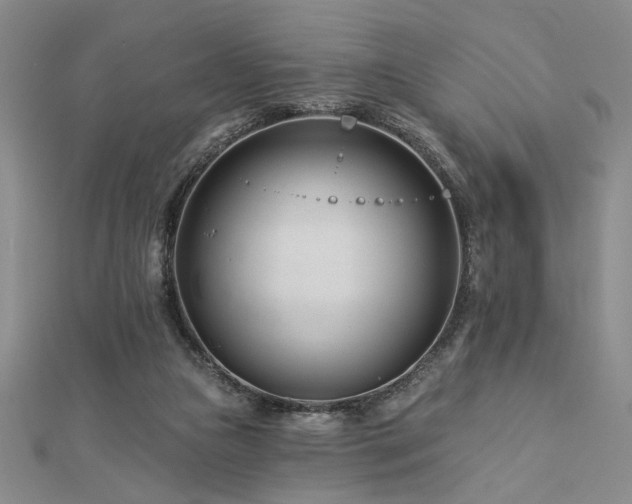 X0000113000161200908271355