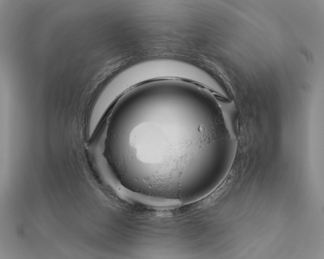 X0000113000162200908271355