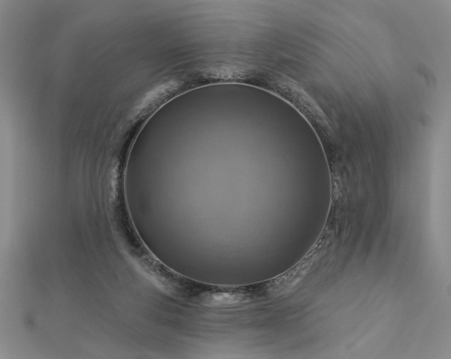 X0000113000163200908271355