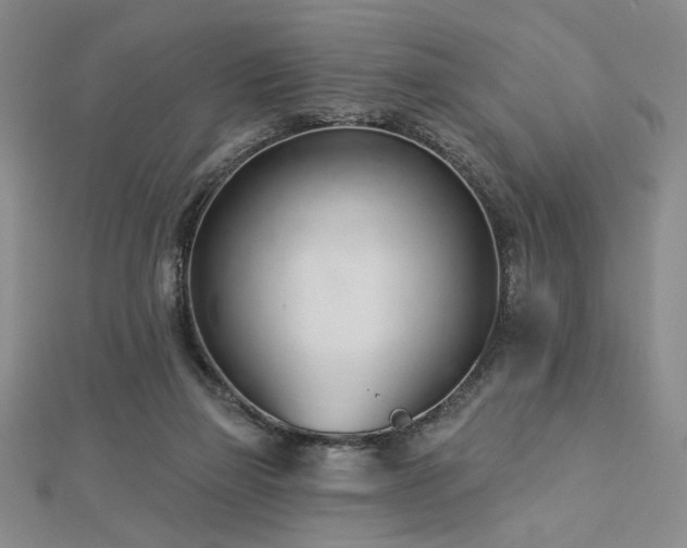 X0000113000165200908271355