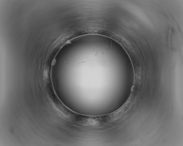 X0000113000166200908271355