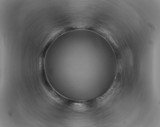 X0000113000167200908271355