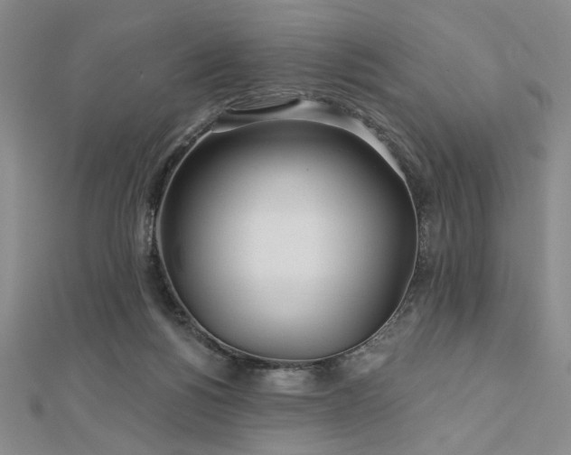 X0000113000168200908271355