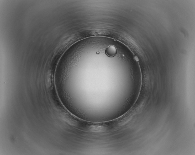 X0000113000169200908271355