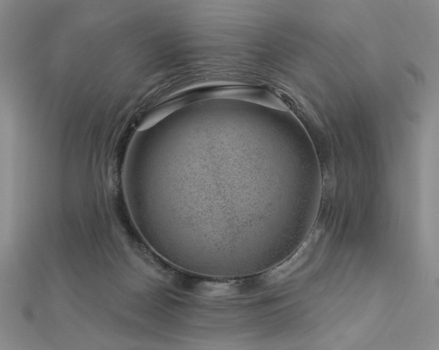 X0000113000170200908271355