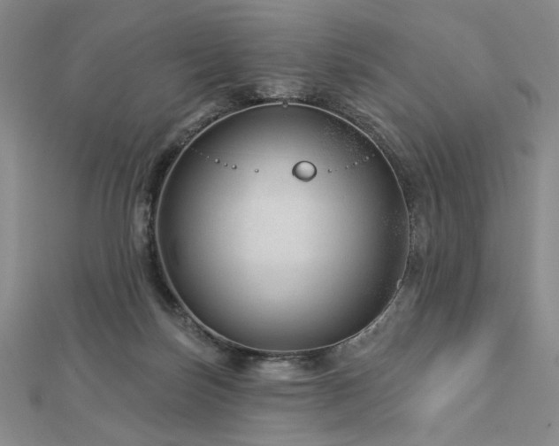 X0000113000171200908271355
