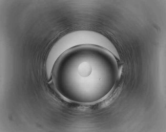 X0000113000172200908271355