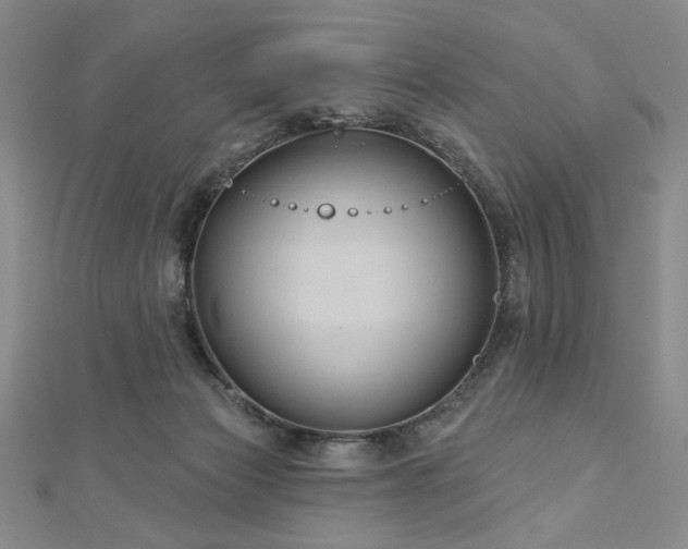 X0000113000173200908271355