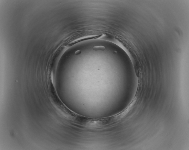 X0000113000174200908271355