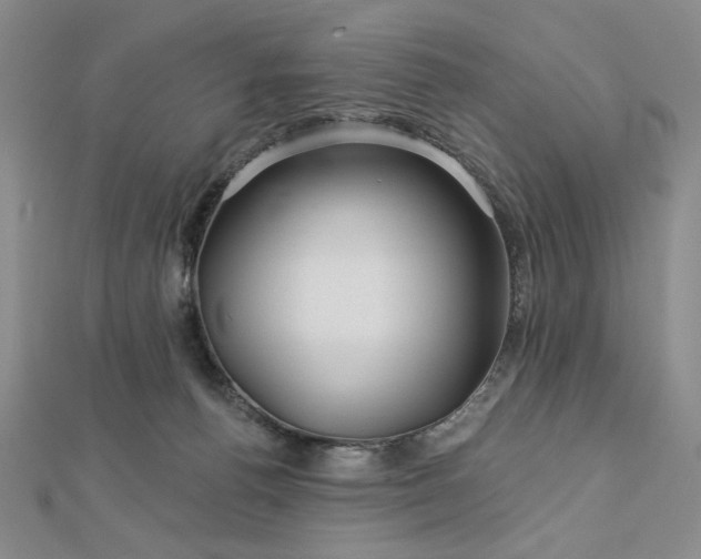 X0000113000176200908271355