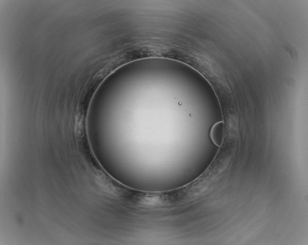 X0000113000177200908271355