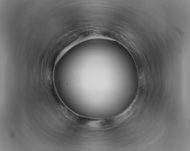 X0000113000178200908271355