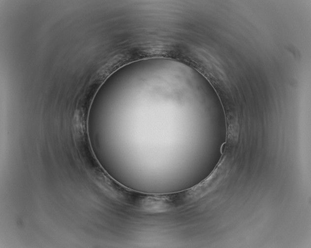 X0000113000179200908271355