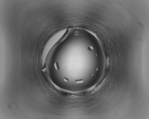 X0000113000180200908271355