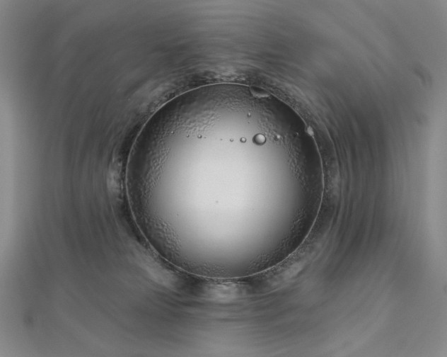X0000113000181200908271355