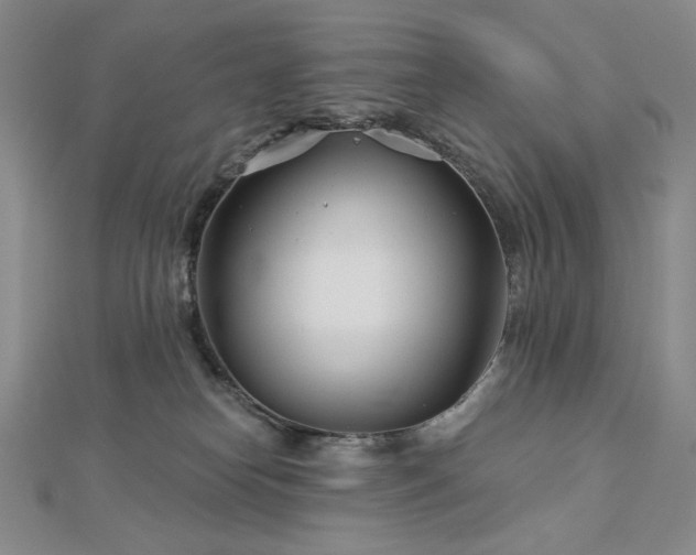 X0000113000182200908271355
