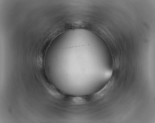 X0000113000183200908271355