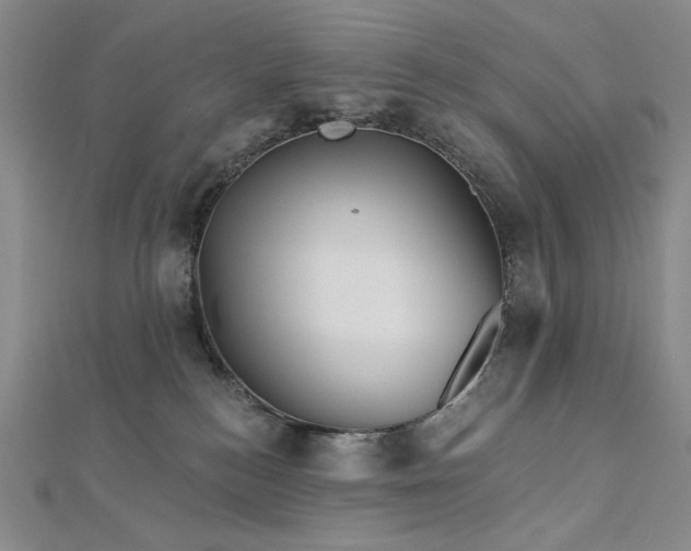 X0000113000184200908271355