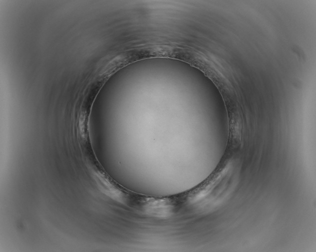 X0000113000185200908271355
